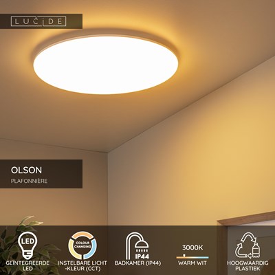 Lucide OLSON - Plafonnière Badkamer - Ø 45 cm - LED - CCT - 1x45W 3000K/6500K - IP44 - Opaal